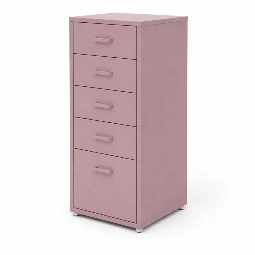 Armoire de Rangement Mobile à 5 Tiroirs avec Poignées Ergonomiques en Inox