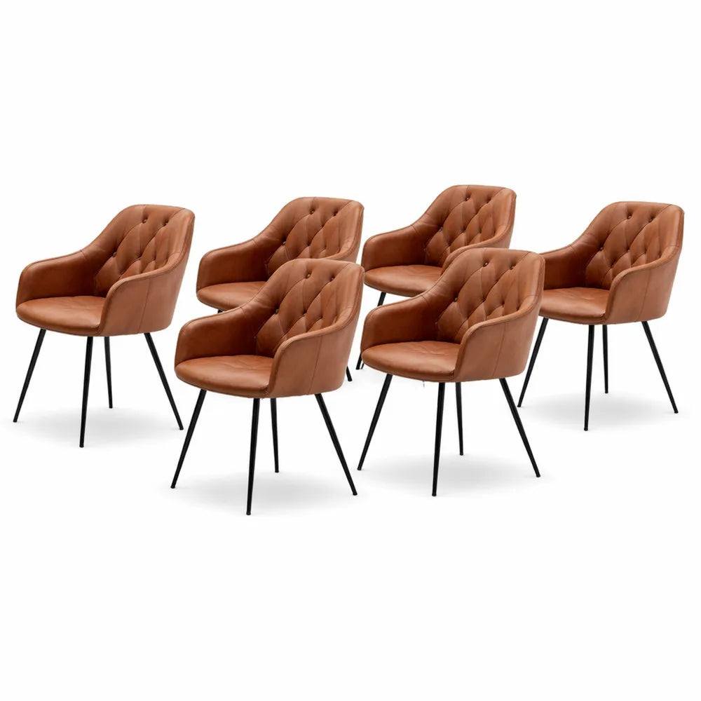 Ensemble de 6 chaises rembourrées pour salle à manger avec dossier et accoudoirs, pieds en métal